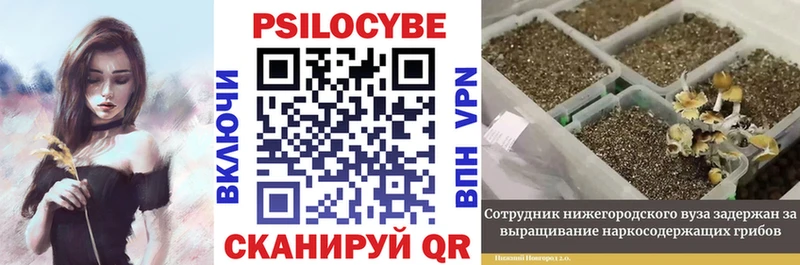 Псилоцибиновые грибы Psilocybine cubensis  Купить  Сосногорск 